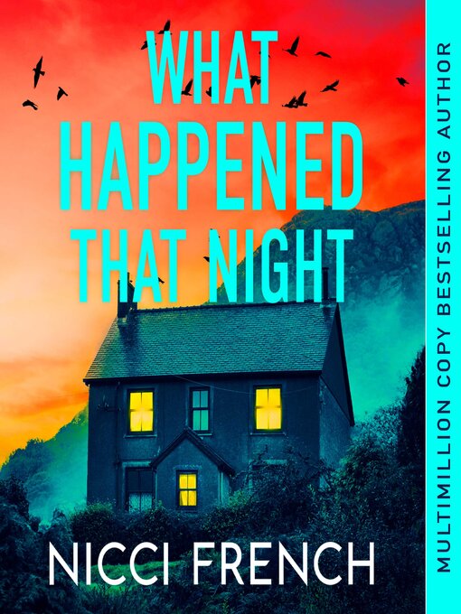 Cover image for What Happened that Night